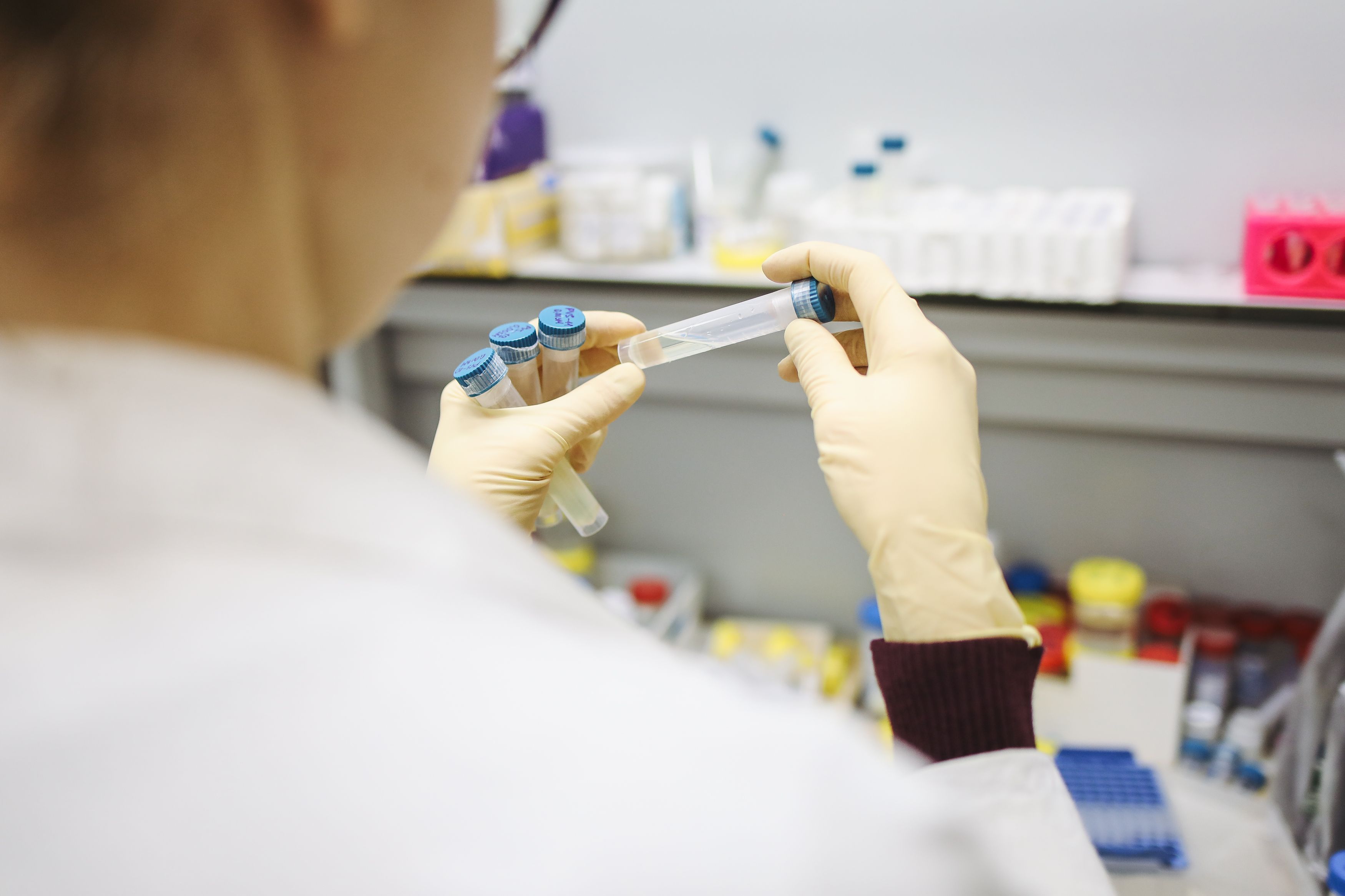 Agricultural research in a modern lab setting