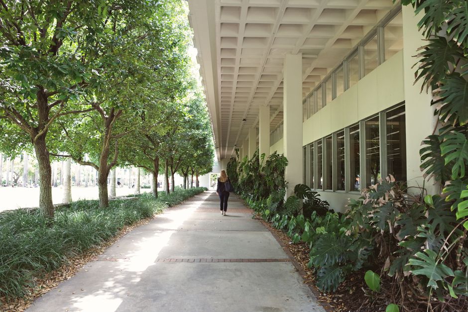 Students studying in library