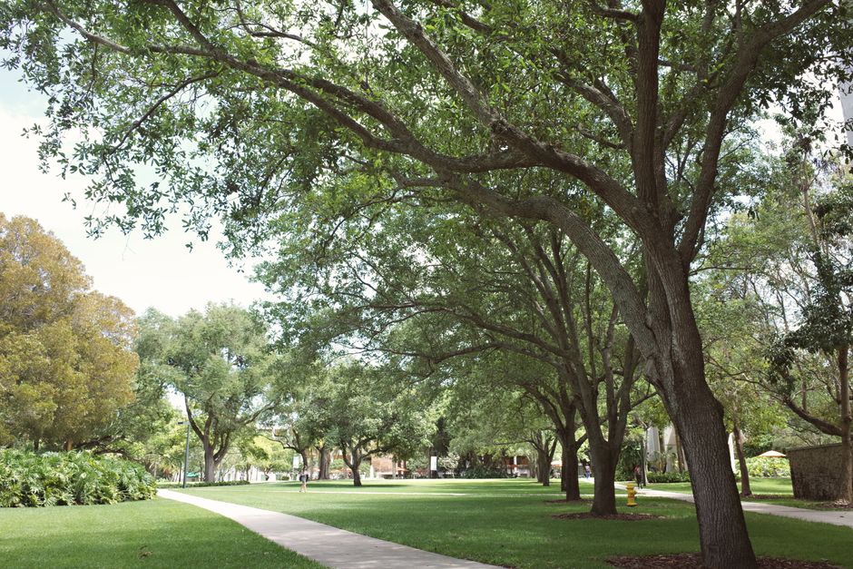Students walking on a Canadian university campus in autumn
