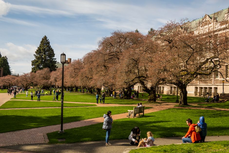 UCLA campus view with Royce Hall and green lawn