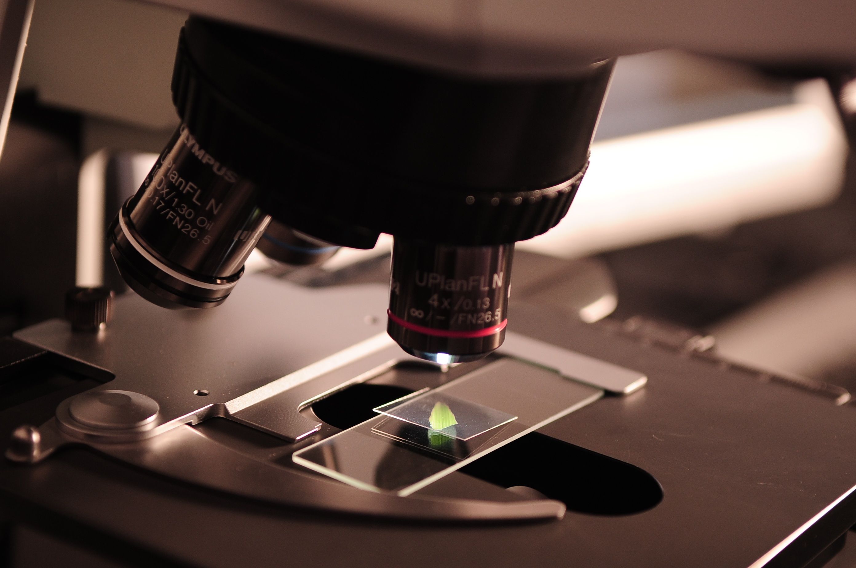 Chemical engineering laboratory with advanced equipment