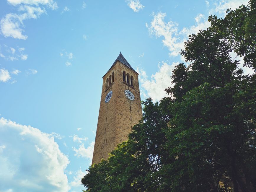 Cornell University campus with historic buildings and greenery